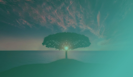 Geschichte: Der Baum des Lebens