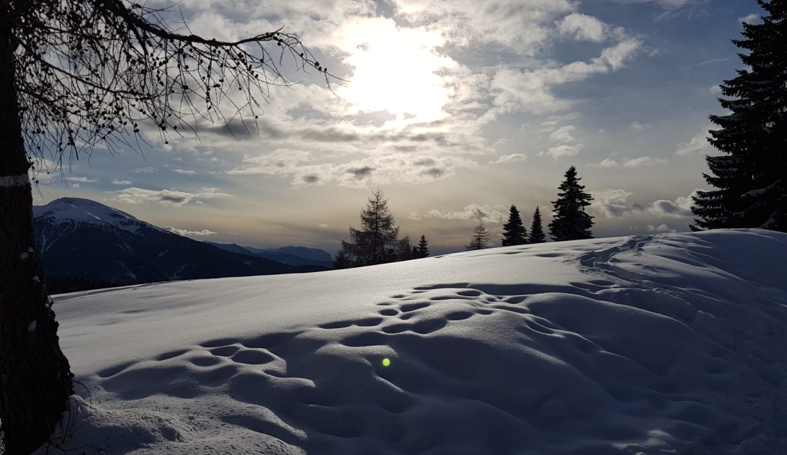 Meditation für´s Herz - für jeden Tag